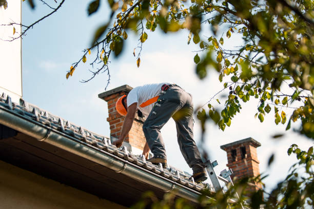 Best Roof Leak Repair  in Elkins, AR