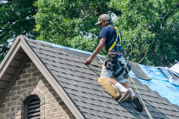 Trusted Elkins, AR Roofing Contractor Experts